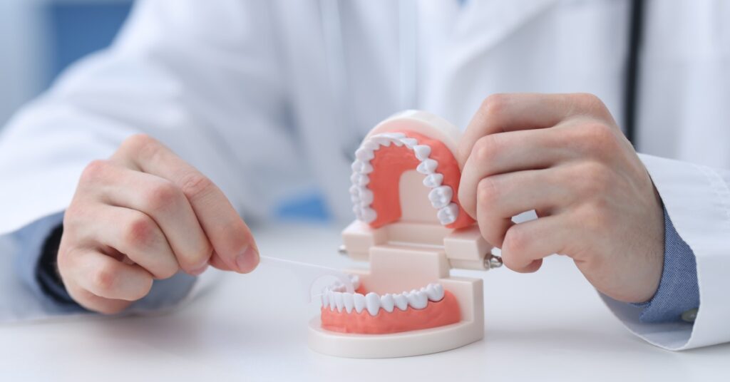 A person in a white coat holding a plastic jaw model with teeth on a desk during a dental consultation.